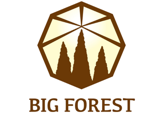 BIG  FORESTロゴ